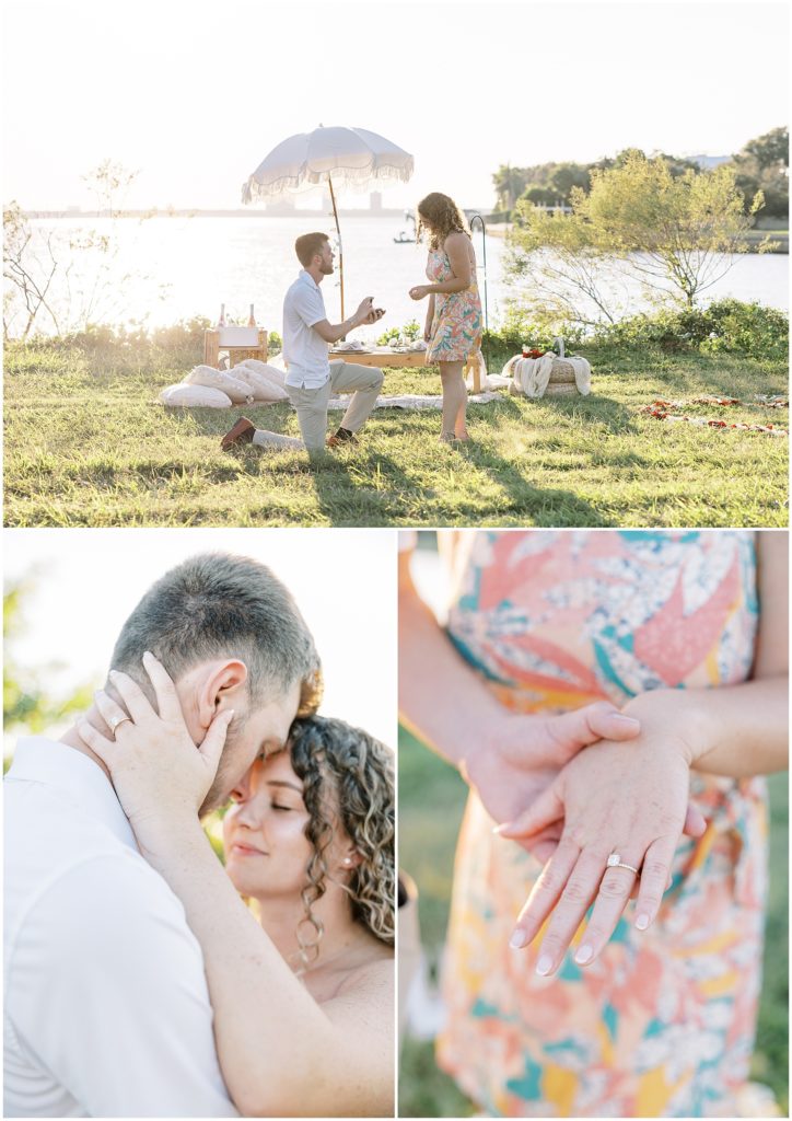 Ideas for a proposal with a picnic and cute outdoor set up by Jommy Photography. picnic proposal #JommyPhotography JommyPhotographyProposals #ProposalPhotography #ClearwaterFL #ClearwaterProposal #TampaProposal #Engaged #EngagementPhotography #